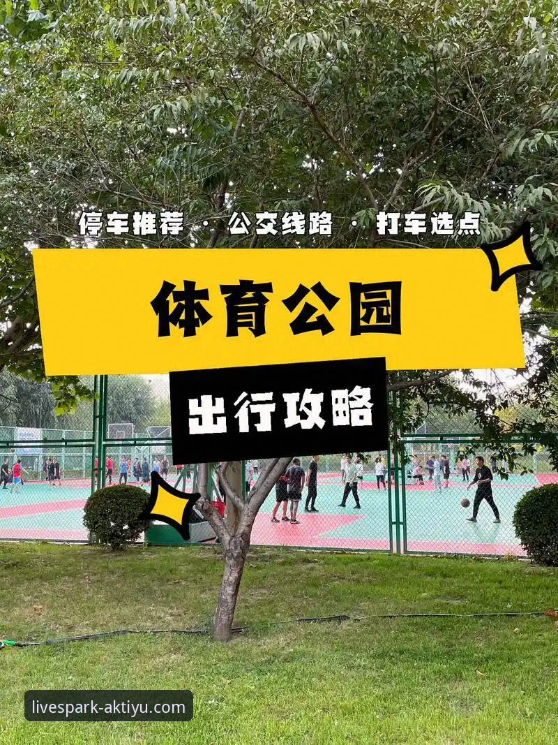 AK体育平台用户评价功能完整使用指南——从操作到实战的详细攻略